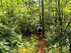 -阳台山自然风景区