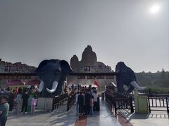 -太阳部落