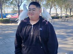 -天津妈祖文化园