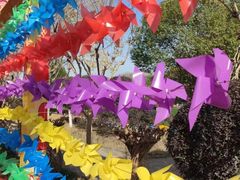 -武汉紫薇都市田园