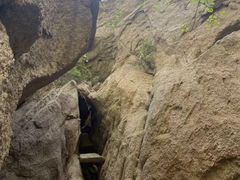 -大岭沟猕猴桃谷风景区