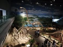 -自贡恐龙博物馆