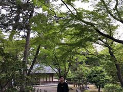 -名古屋城