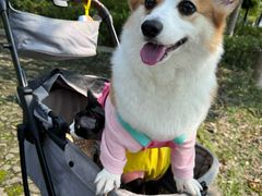 -上海月湖雕塑公园