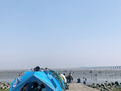 -南汇新城海滩