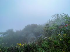 -秦岭终南山世界地质公园翠华山景区