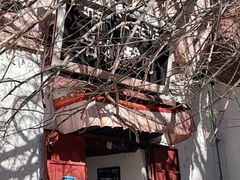 -古树酸奶(八廓南街店)