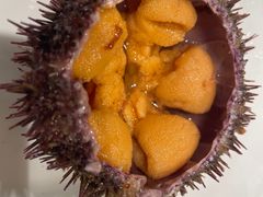 蒸海胆-万宝海鲜舫(劳动公园店)