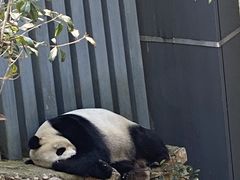 -黔灵山公园