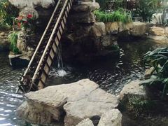 -森谷美食公园(杨行店)