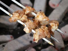 -袁家水泊水浒烤肉(白金店)