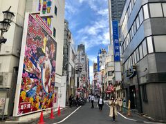 -秋叶原电器街
