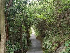 -桃花岛风景旅游区