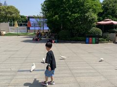 -南昌之星摩天轮