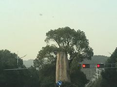 -旺山·浪头人家