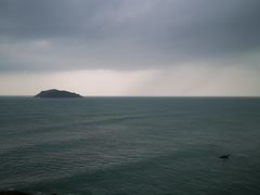 -叶记猪肚鸡(宝安椰林湾店)