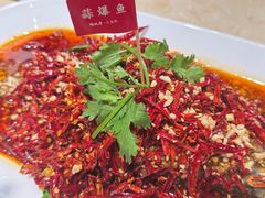 -杨氏青龙虾·羊蝎子(珠江路店)