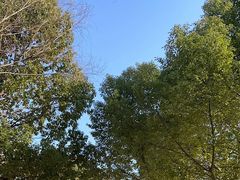 -合肥三国新城遗址公园