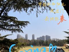 -泰丰公园