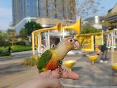 -东莞松山湖万象汇