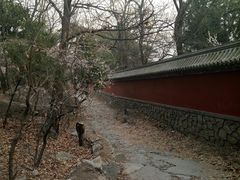 -阳台山自然风景区