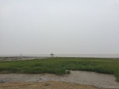 -南汇嘴观海公园