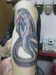 -聚义堂艺术纹身馆