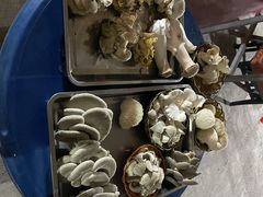 -仙蘑洞