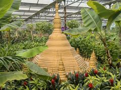 -南宫五洲植物乐园