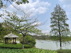 -松山湖风景区松湖烟雨