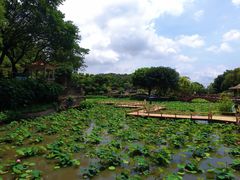 -广州莲花山旅游区