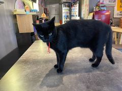 -店溡三(御华名苑愚园路1221弄店)