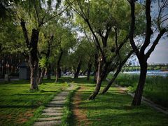 -长春市南湖公园