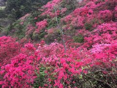 -木兰云雾山