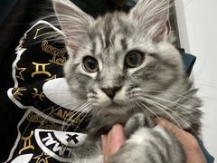 -PETKIT 小佩宠物·低压洗护·美容·寄养(安远店)