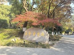 -浙里会