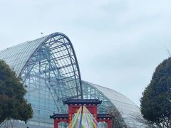 -南山植物园