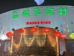 -石岐乳鸽村(桥观坊南四巷店)