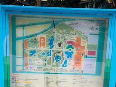 -九龙公园