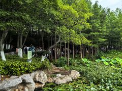 -云龙湖旅游景区