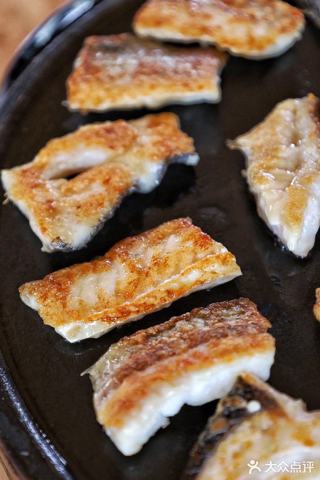 🐟世界奇鱼 赛湖高白鲑🐟
