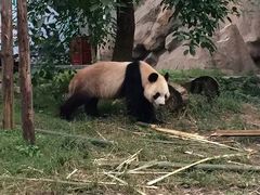 -仙芝竹尖生态园旅游景区