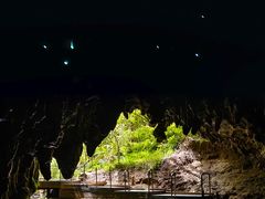 -怀托摩萤火虫洞