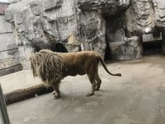 -南昌动物园