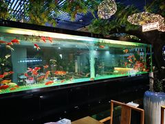 -阳光院坝小龙虾(红牌楼店)