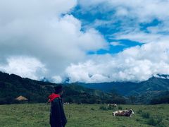 -硗碛藏寨·神木垒景区