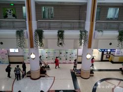 -上海交通大学医学院附属上海儿童医学中心(陆家嘴总院区)