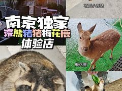 -浣熊柯尔鸭土拨鼠·电玩咖