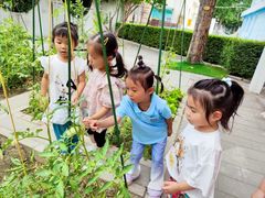 -红黄蓝幼儿园(颐东苑店)