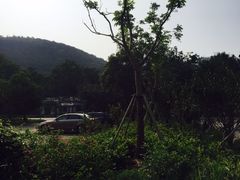 -鑫福楼农家菜